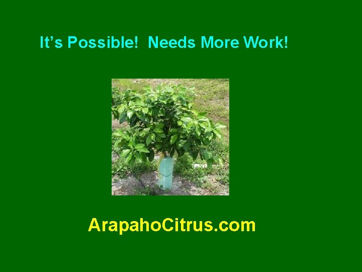 It’s Possible! Needs More Work! Arapaho. Citrus. com 