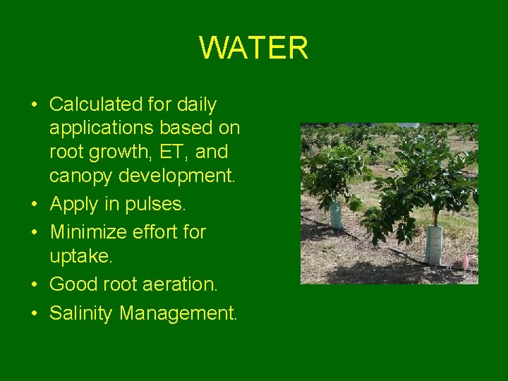 WATER • Calculated for daily applications based on root growth, ET, and canopy development.