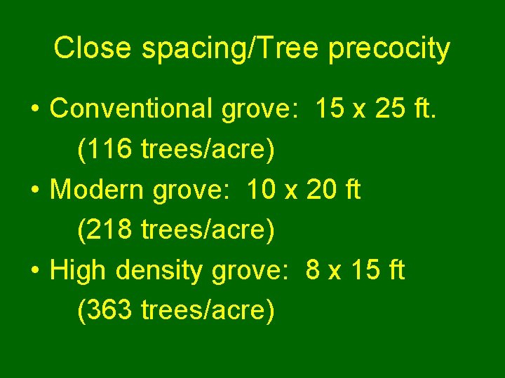 Close spacing/Tree precocity • Conventional grove: 15 x 25 ft. (116 trees/acre) • Modern