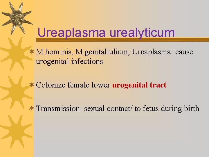 Ureaplasma urealyticum ¬ M. hominis, M. genitaliulium, Ureaplasma: cause urogenital infections ¬ Colonize female