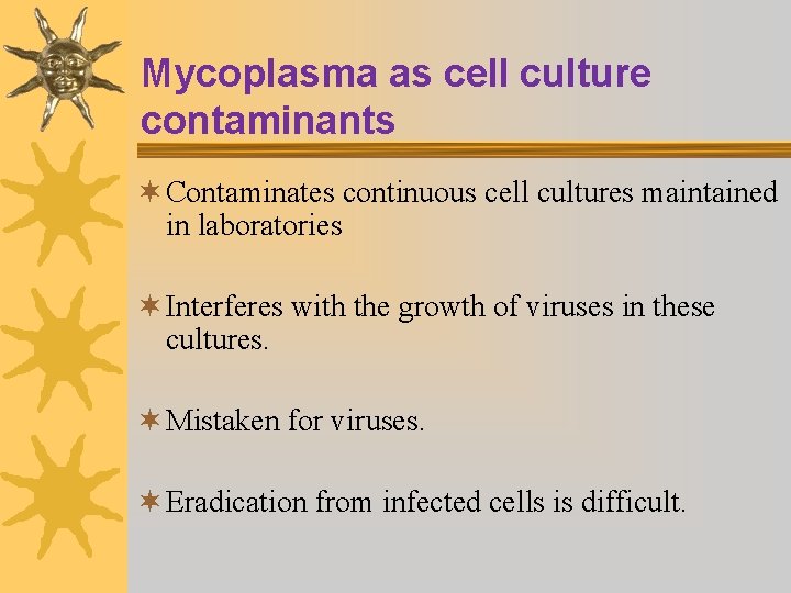 Mycoplasma as cell culture contaminants ¬ Contaminates continuous cell cultures maintained in laboratories ¬