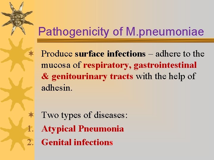 Pathogenicity of M. pneumoniae ¬ Produce surface infections – adhere to the mucosa of