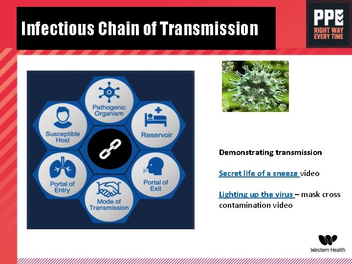 Infectious Chain of Transmission Demonstrating transmission Secret life of a sneeze video Lighting up