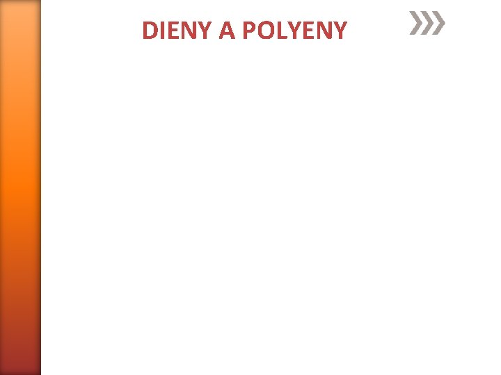 DIENY A POLYENY 