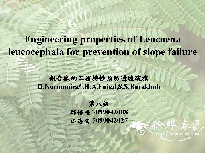 Engineering properties of Leucaena leucocephala for prevention of slope failure 銀合歡的 程特性預防邊坡破壞 O. Normaniza*,