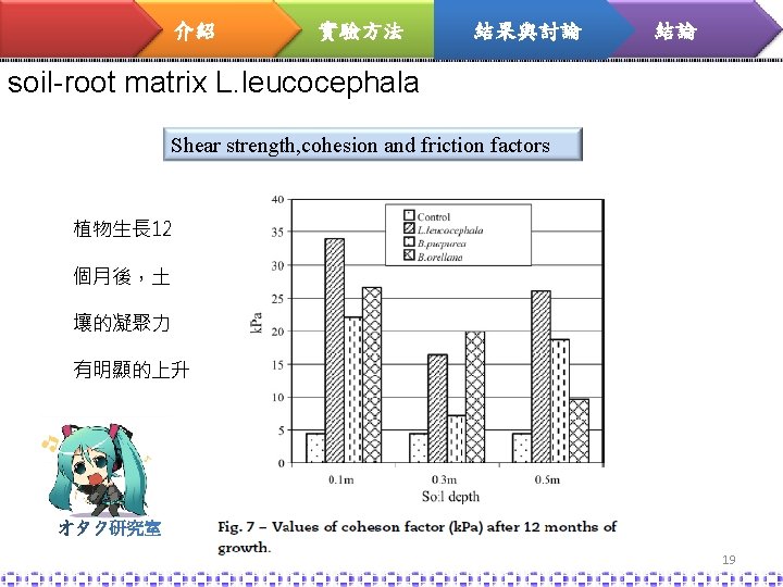 介紹 實驗方法 結果與討論 結論 soil-root matrix L. leucocephala Shear strength, cohesion and friction factors