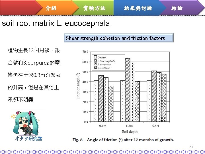 介紹 實驗方法 結果與討論 結論 soil-root matrix L. leucocephala Shear strength, cohesion and friction factors