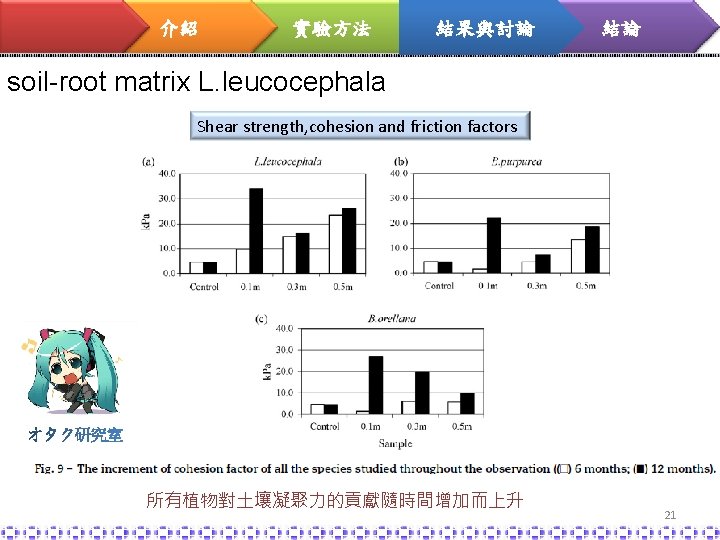 介紹 實驗方法 結果與討論 結論 soil-root matrix L. leucocephala Shear strength, cohesion and friction factors