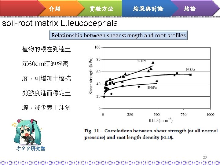 介紹 實驗方法 結果與討論 結論 soil-root matrix L. leucocephala Relationship between shear strength and root