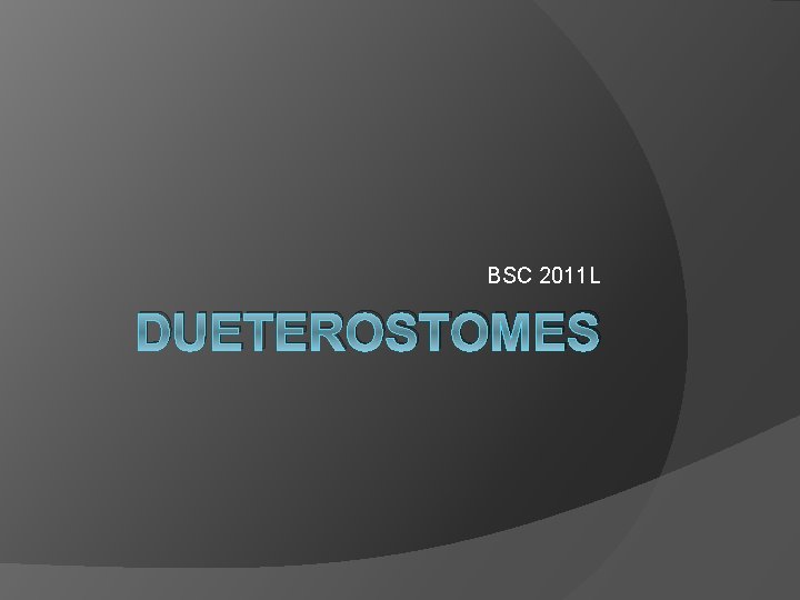 BSC 2011 L DUETEROSTOMES 