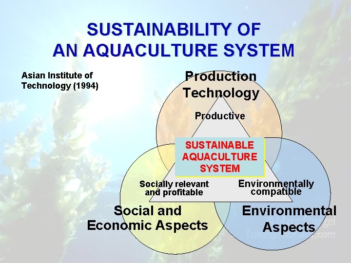 SUSTAINABILITY OF AN AQUACULTURE SYSTEM Asian Institute of Technology (1994) Production Technology Productive SUSTAINABLE
