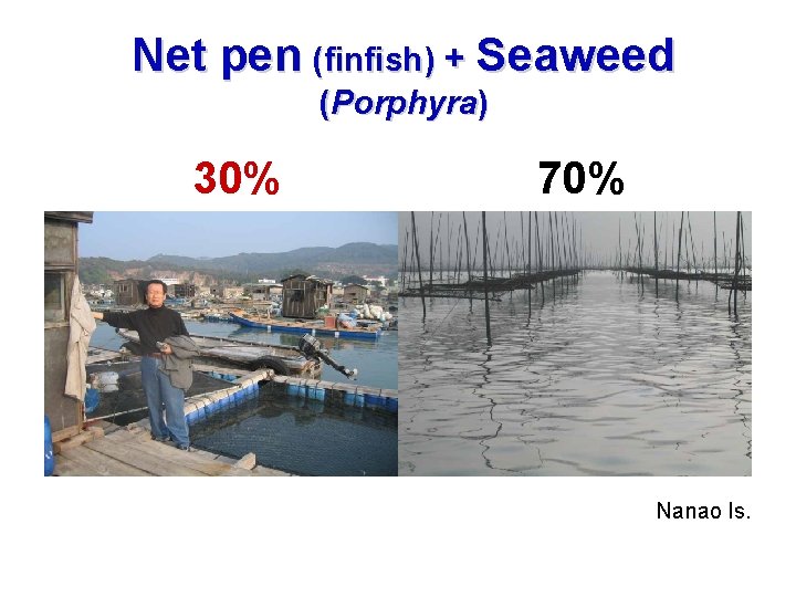 Net pen (finfish) + Seaweed (Porphyra) 30% 70% Nanao Is. 