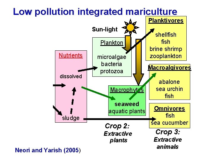 Low pollution integrated mariculture Planktivores Feed Sun-light Plankton Nutrients Fed organisms dissolved microalgae bacteria
