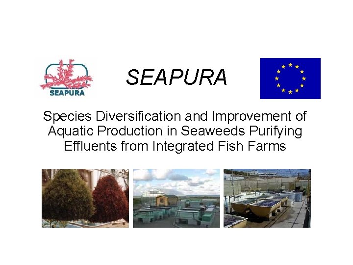 SEAPURA Species Diversification and Improvement of Aquatic Production in Seaweeds Purifying Effluents from Integrated