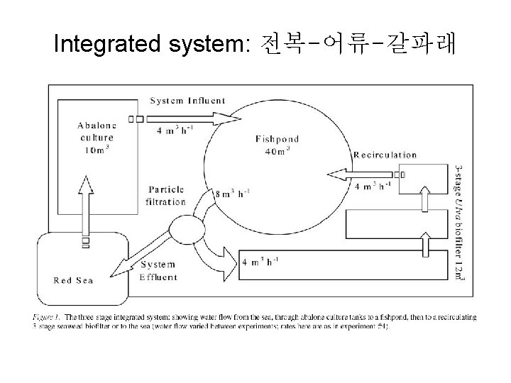 Integrated system: 전복-어류-갈파래 