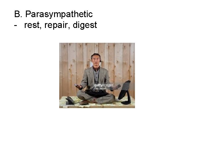 B. Parasympathetic - rest, repair, digest 