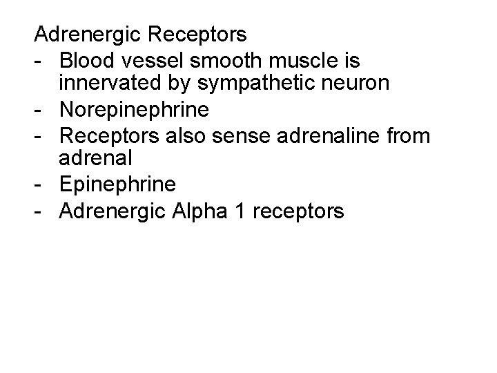 Adrenergic Receptors - Blood vessel smooth muscle is innervated by sympathetic neuron - Norepinephrine