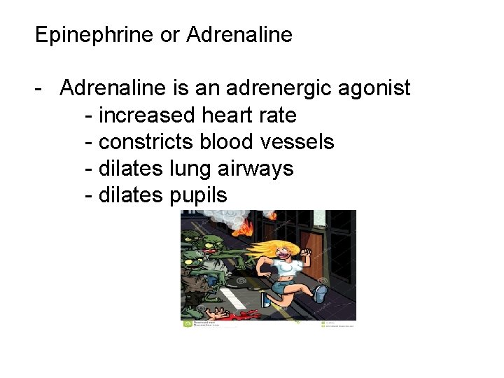 Epinephrine or Adrenaline - Adrenaline is an adrenergic agonist - increased heart rate -