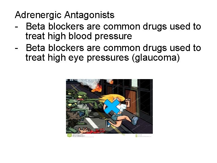 Adrenergic Antagonists - Beta blockers are common drugs used to treat high blood pressure