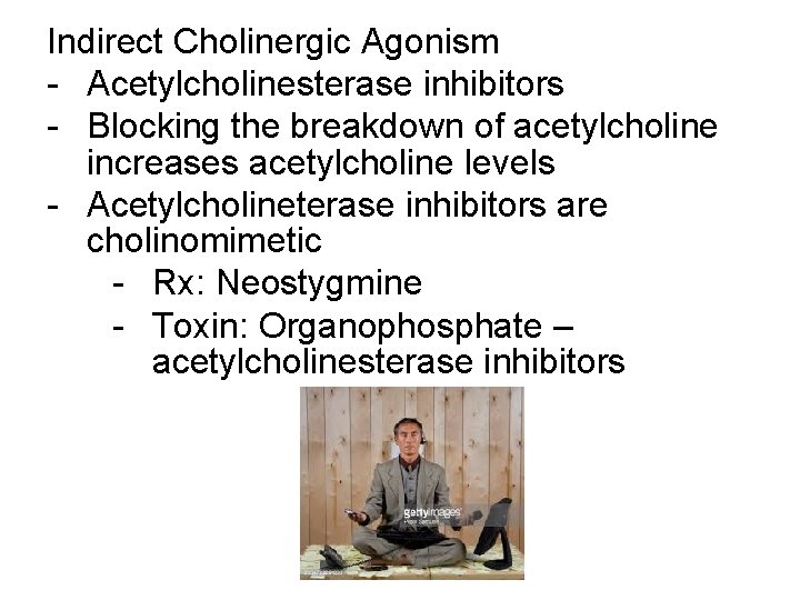 Indirect Cholinergic Agonism - Acetylcholinesterase inhibitors - Blocking the breakdown of acetylcholine increases acetylcholine