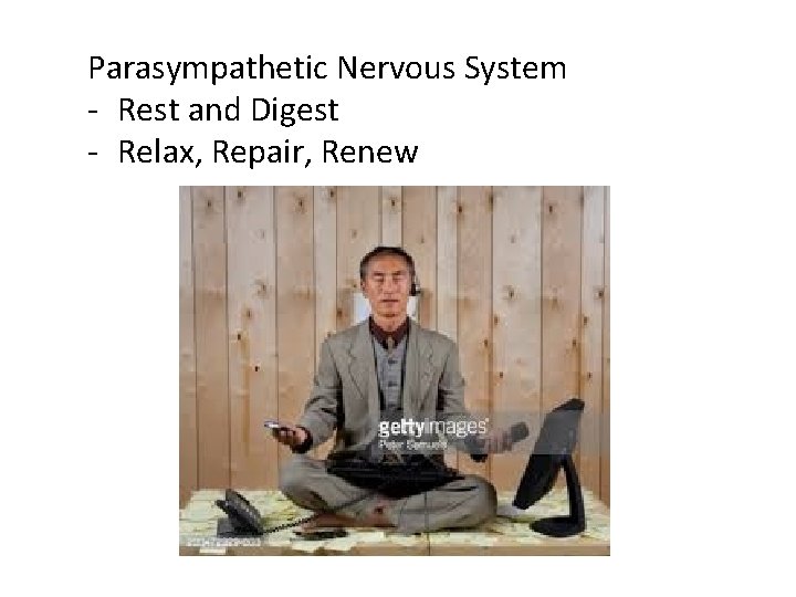 Parasympathetic Nervous System - Rest and Digest - Relax, Repair, Renew 