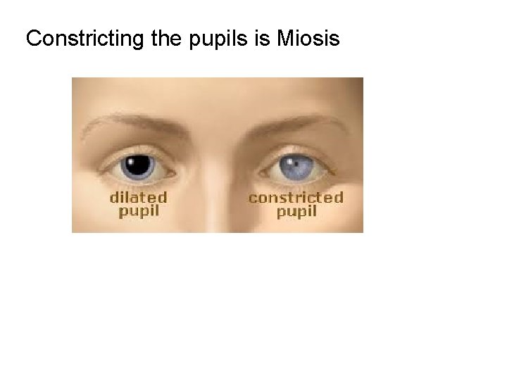 Constricting the pupils is Miosis 