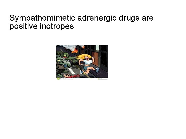 Sympathomimetic adrenergic drugs are positive inotropes 