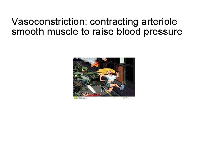 Vasoconstriction: contracting arteriole smooth muscle to raise blood pressure 