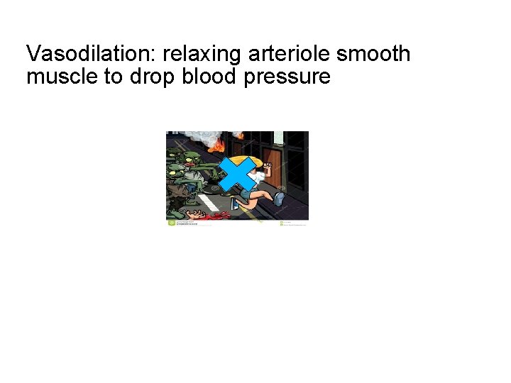 Vasodilation: relaxing arteriole smooth muscle to drop blood pressure 