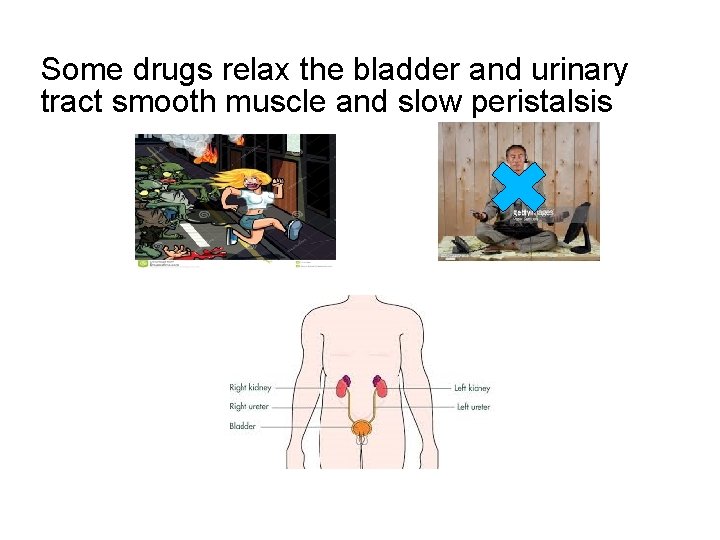 Some drugs relax the bladder and urinary tract smooth muscle and slow peristalsis 