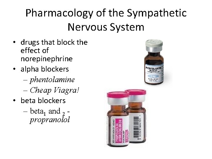 Pharmacology of the Sympathetic Nervous System • drugs that block the effect of norepinephrine