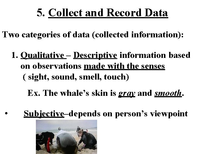 5. Collect and Record Data Two categories of data (collected information): 1. Qualitative –