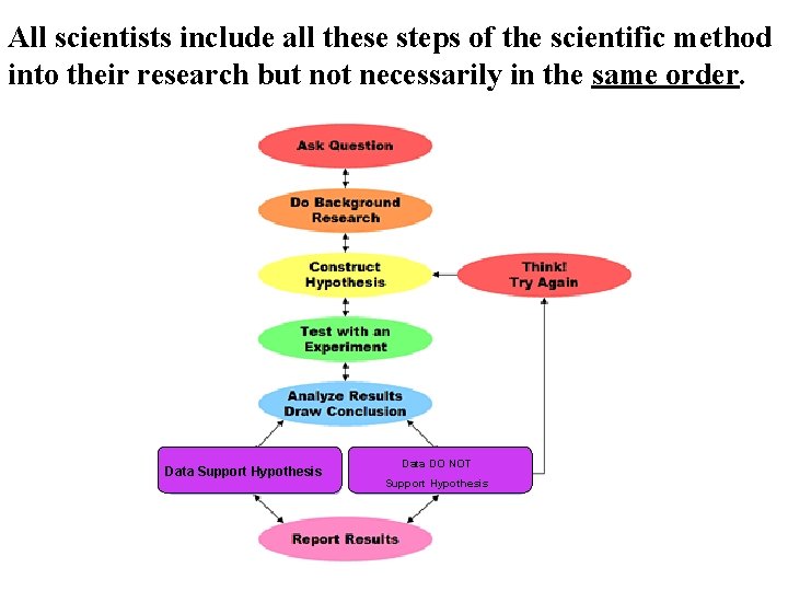 All scientists include all these steps of the scientific method into their research but
