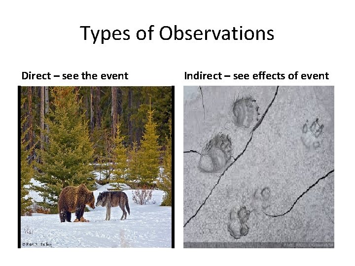 Types of Observations Direct – see the event Indirect – see effects of event