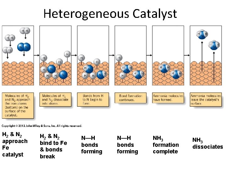 Heterogeneous Catalyst H 2 & N 2 approach Fe catalyst H 2 & N