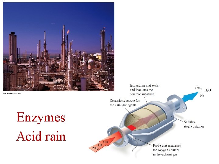 Enzymes Acid rain 