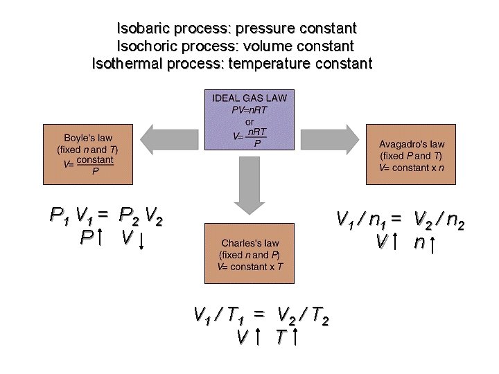 Isobaric process: pressure constant Isochoric process: volume constant Isothermal process: temperature constant P 1