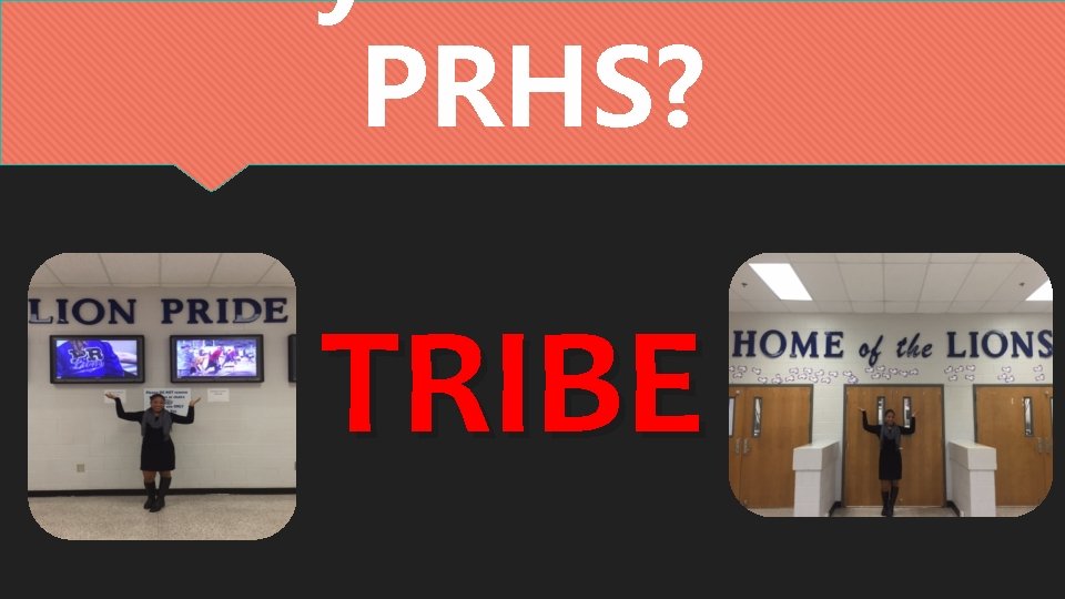 PRHS? TRIBE PRHS? TRIBE