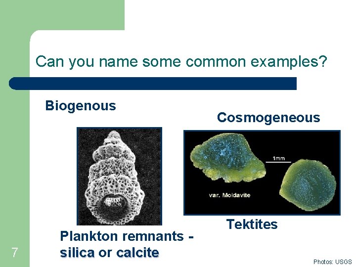 Can you name some common examples? Biogenous 7 Plankton ? remnants silica or calcite
