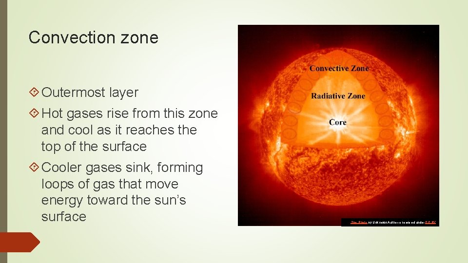 Convection zone Outermost layer Hot gases rise from this zone and cool as it Convection zone Outermost layer Hot gases rise from this zone and cool as it