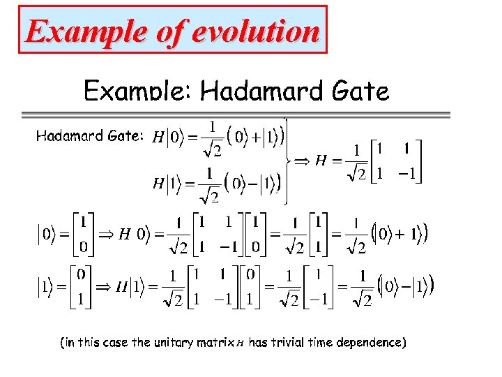 Example of evolution 