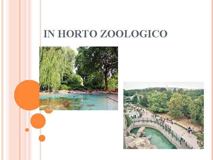 IN HORTO ZOOLOGICO 