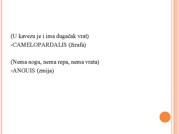 (U kavezu je i ima dugačak vrat) -CAMELOPARDALIS (žirafa) (Nema nogu, nema repa, nema