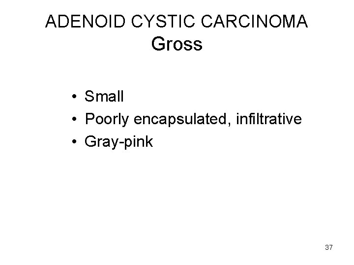 ADENOID CYSTIC CARCINOMA Gross • Small • Poorly encapsulated, infiltrative • Gray-pink 37 