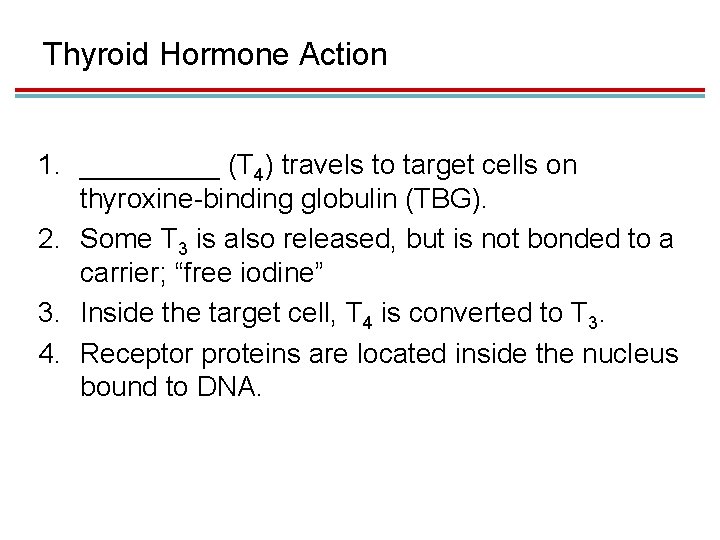 Thyroid Hormone Action 1. _____ (T 4) travels to target cells on thyroxine-binding globulin