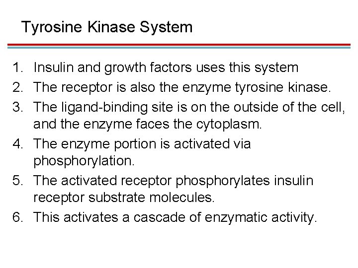 Tyrosine Kinase System 1. Insulin and growth factors uses this system 2. The receptor