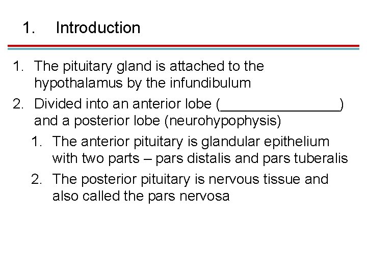 1. Introduction 1. The pituitary gland is attached to the hypothalamus by the infundibulum