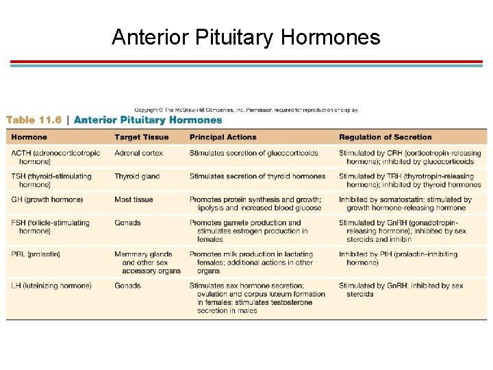 Anterior Pituitary Hormones 