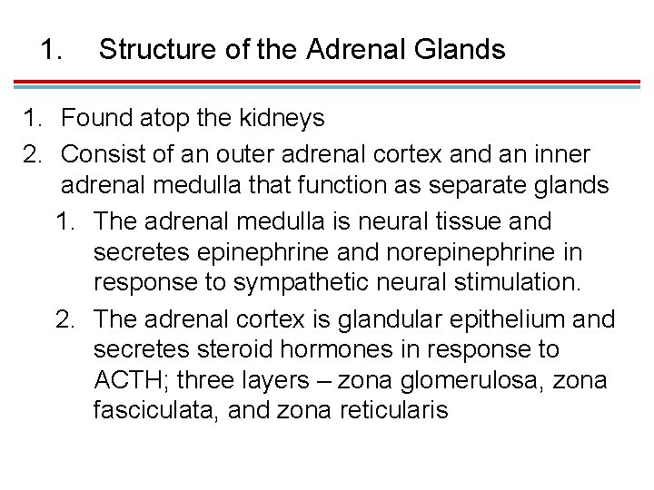 1. Structure of the Adrenal Glands 1. Found atop the kidneys 2. Consist of