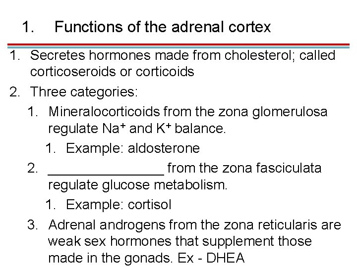 1. Functions of the adrenal cortex 1. Secretes hormones made from cholesterol; called corticoseroids